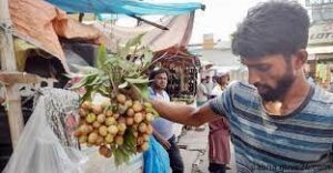 ঈশ্বরদীর বাজারে দেশি লিচু দাম চড়া
