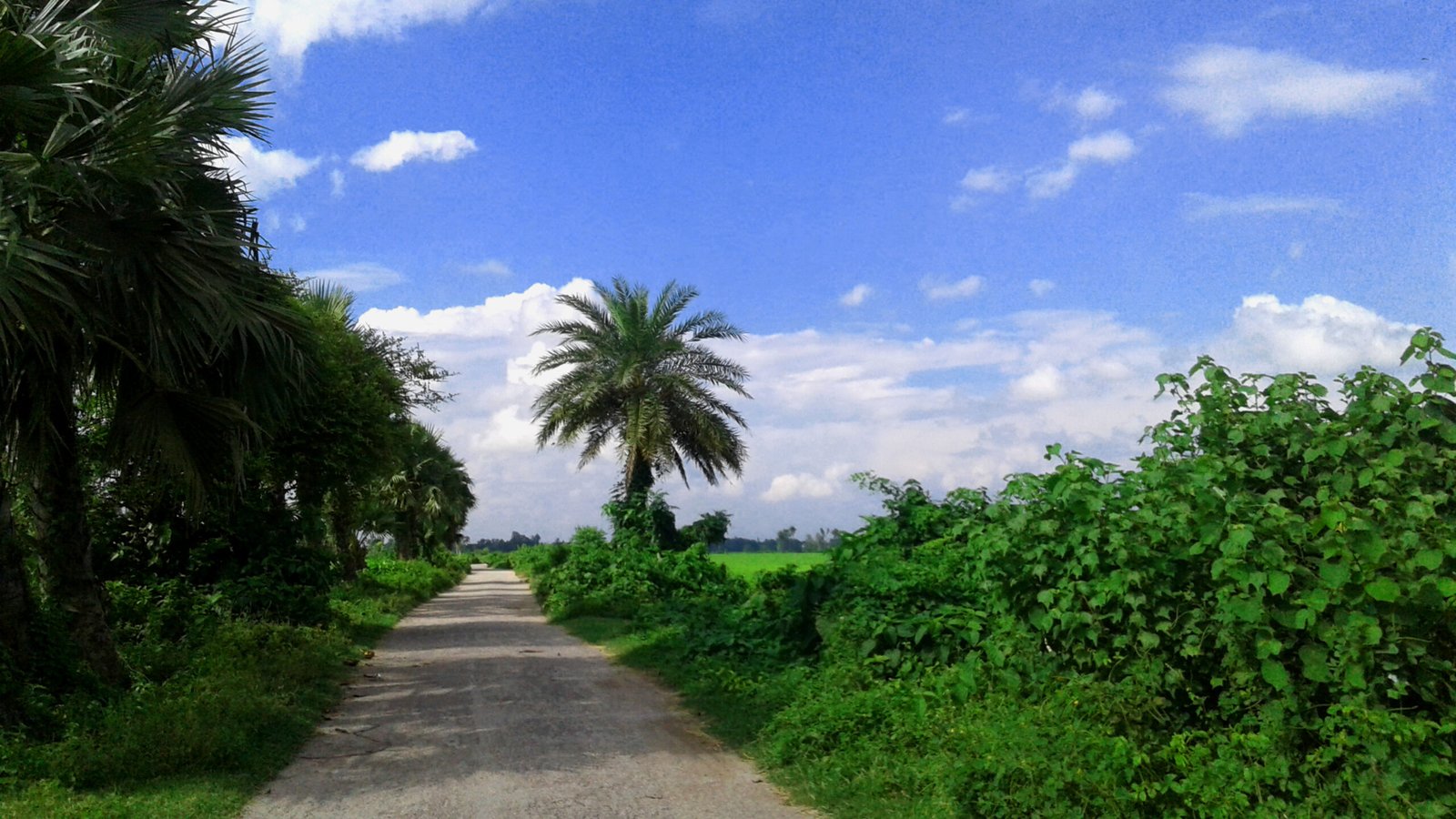 এক নজরে পাবনা জেলা